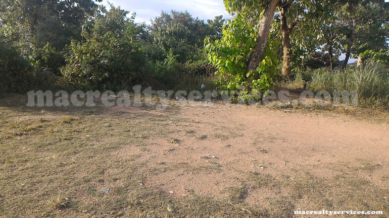 Lot for Lease in Tayud, Consolacion