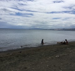 IMG_20250130_115809_566