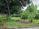 IMG_20250706_171548_990