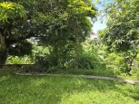 IMG_20250706_171548_995