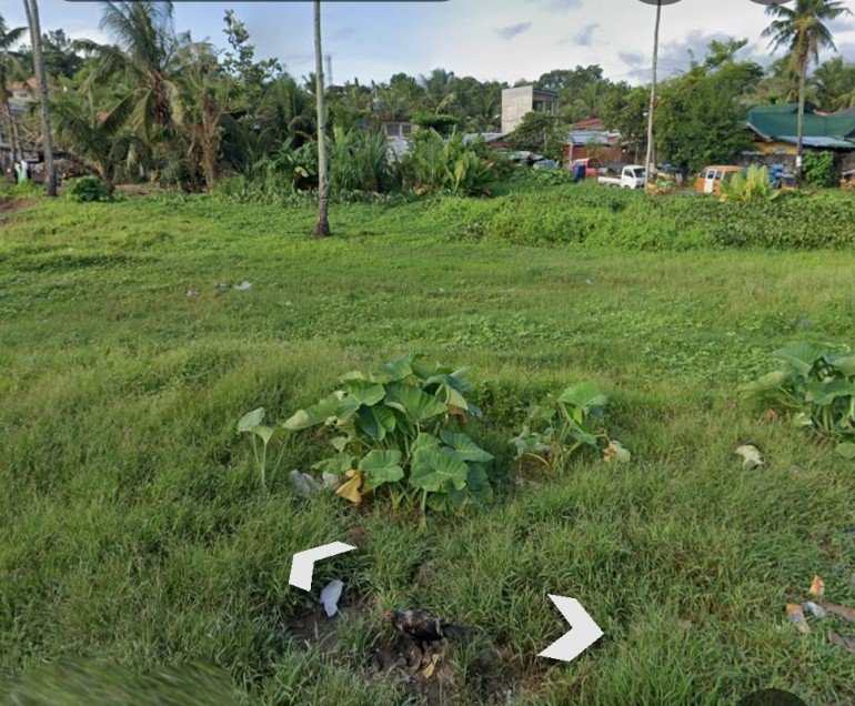 IMG_20250804_064701_176