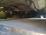 IMG_20250804_064900_659