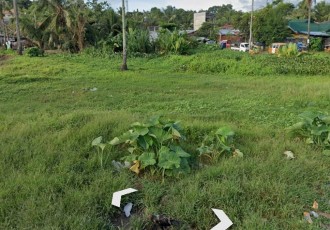 IMG_20250923_105445_76