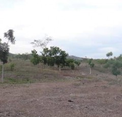 IMG_20250923_105703_247