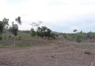 IMG_20250923_105703_247